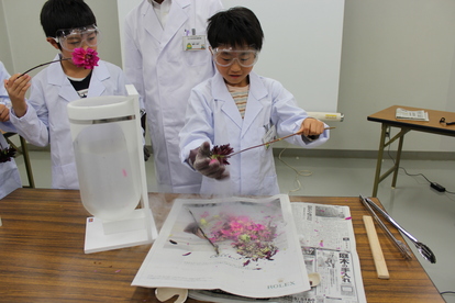 生花を液体窒素に入れる子どもたちの画像