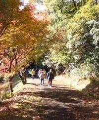第36回緑のハイキング写真