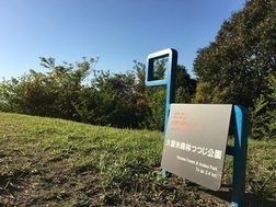 カンセ
