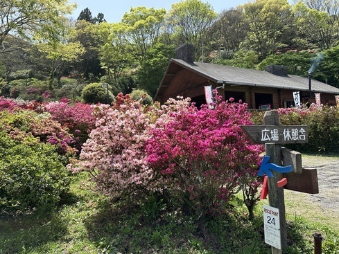 久留米森林つつじ公園の写真