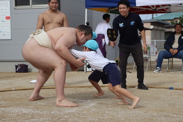 安青錦関に立ち向かう園児