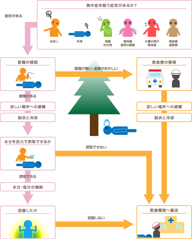 熱中症が疑われる場合の対応