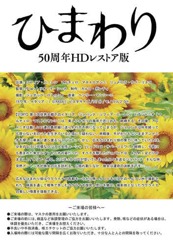 そよ風シネマ「ひまわり」