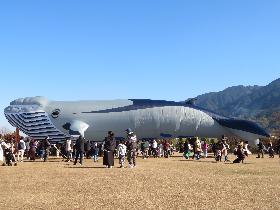 たこあげ大会の画像