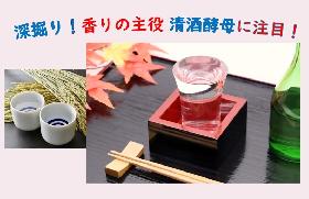 城島酒造りと発酵のコントロール講座の画像