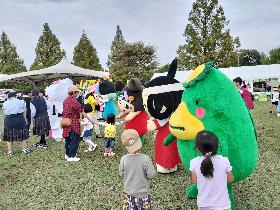 久留米市コスモスフェスティバルの画像