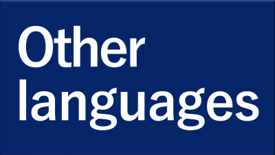 その他の言語