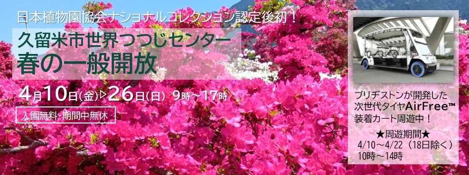 久留米市世界つつじセンター春の一般開放のご案内への画像リンク